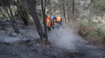 Karhutla Gunung Bromo Capai 550 Hektare