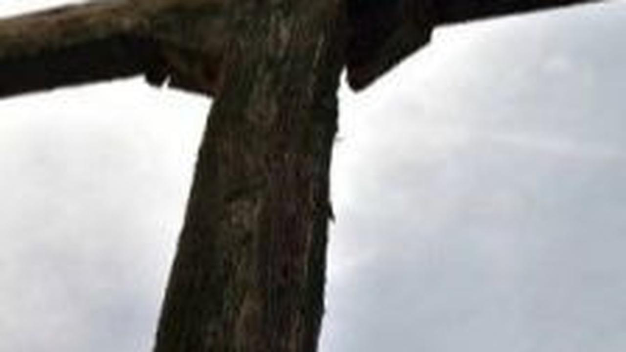 Ucapan Hari Kenaikan Yesus Kristus dalam Bahasa Inggris