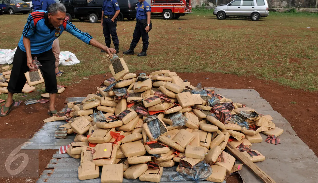 Petugas menyiapkan kemasan ganja untuk dimusnahkan di Mapolsek Palmerah, Jakbar, Senin (15/6). Barang bukti yang dimusnahkan berupa 10.286 botol miras, 561 kg ganja, 1,4 kg sabu, 7.668 butir ekstasi, 1.000 butir psikotropika. (Liputan6.com/Johan Tallo)