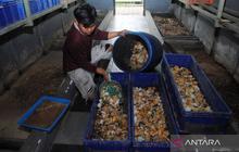 BGN Wajibkan SPPG Kelola Limbah Program MBG Demi Lingkungan dan Kesehatan