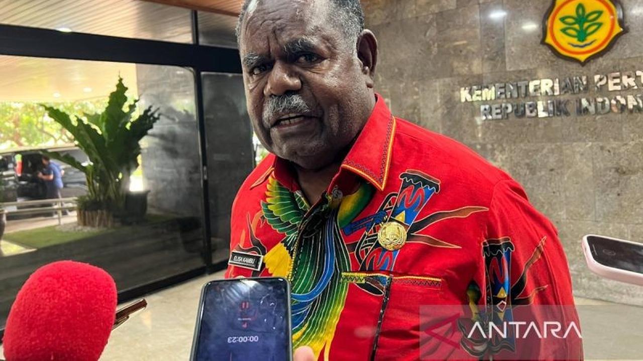 Fakta Menarik: Papua Barat Daya Cetak 4.000 Hektare Sawah Baru, Gubernur Kambu Perkuat Pertanian Papua Barat Daya Bersama Mentan