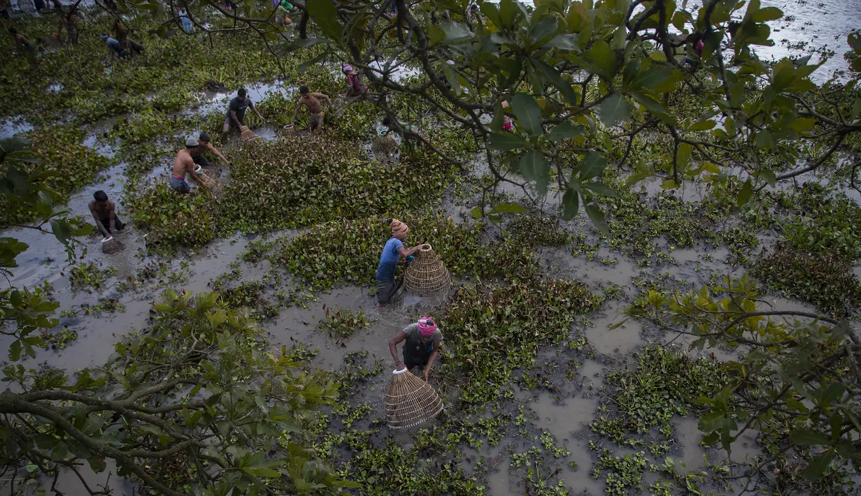 Penduduk desa berpartisipasi dalam komunitas memancing sebagai bagian dari perayaan Bhogali Bihu di desa Panbari, sekitar 50 km timur Gauhati, India, Kamis (13/1/2022). "Bhogali Bihu" menandai berakhirnya musim panen di timur laut negara bagian Assam. (AP Photo/Anupam Nath)