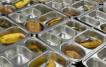 Alasan Kuat Mengapa Dana Zakat Tidak Boleh untuk Membiayai Program Makan Bergizi Gratis