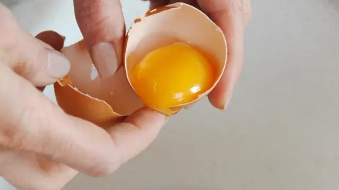 copyright by shutterstock.com