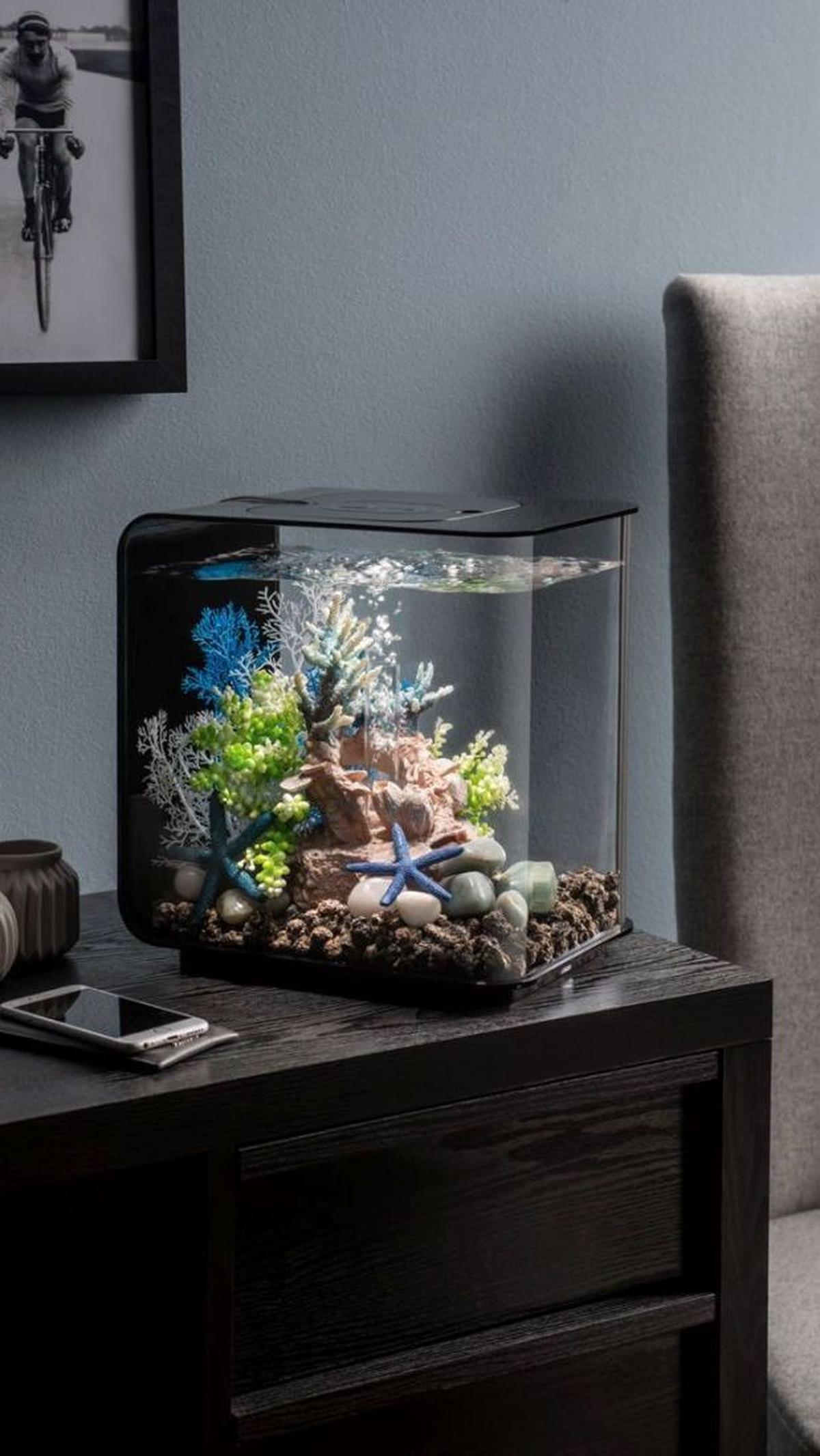 <b>Akuarium Mini Di Atas Laci</b><br>