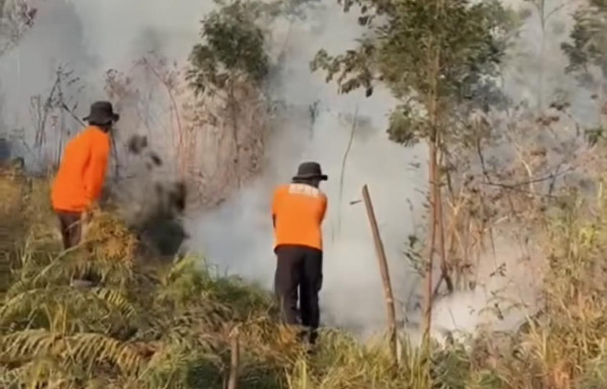 Relawan berjibaku memadamkan kebakaran di lereng gunung lawu. (istimewa).