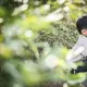 Anak yang lebih sabar berpeluang untuk berhasil dalam dunia akademis, mempertahankan persahabatan, dan tumbuh menjadi dewasa yang tidak mudah menyerah. (Foto/dok: Freepik/jcomp)