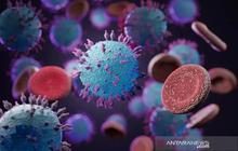 Hantavirus di Balik Hiruk Pikuk Kota: Waspada tapi Jangan Panik