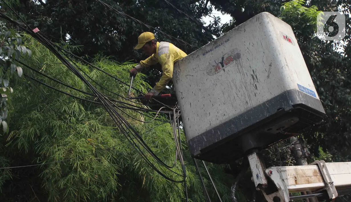 Petugas Dinas Bina Marga DKI Jakarta menata instalasi kabel yang semrawut di Jalan Yusuf Adiwinata, Menteng, Jakarta Pusat, Jumat (11/8/2023). (merdeka.com/Imam Buhori)