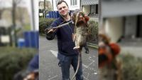 Ukuran seekor tikus, biasanya tidak lebih besar dari  seekor kucing.