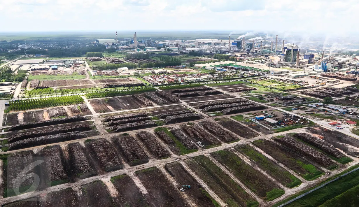 Suasana pabrik PT. Indah Kiat Pulp and Paper (IKPP) Perawang, Riau, (18/7). IKPP Perawang telah menggunakan 100 persen bahan baku dari hutan tanaman industri (HTI) sesuai dengan peta jalan APP Forest Conservation Policy 2020. (Liputan6.com/Fery Pradolo)