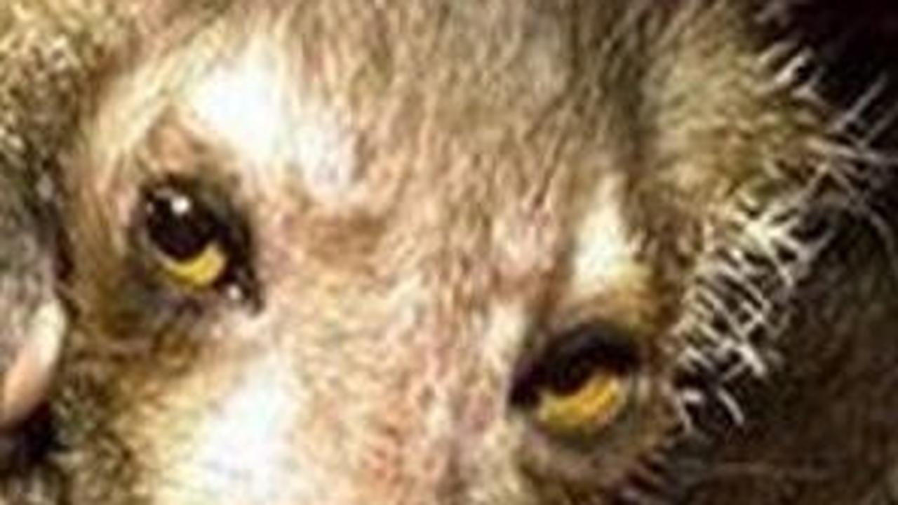 7. Aye-aye<br>