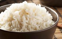 Kenali Sejarah Kebiasaan Orang Indonesia Mengonsumsi Nasi Sejak Era Mataram Hingga Kini