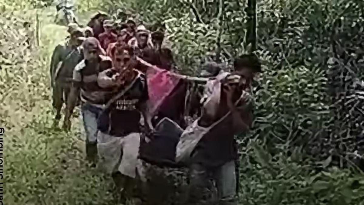 Nestapa dari Tapsel, Ibu Hamil Ditandu Enam Jam Tembus Hutan Berakhir Duka