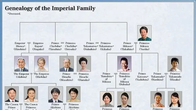 Silsilah keluarga kerajaan Jepang. cr: kunaicho.go.jp