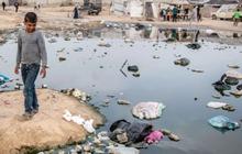 Mati Pelan-Pelan, Nestapa Warga Gaza Tinggal Bersama Sampah dan Tikus di Pengungsian