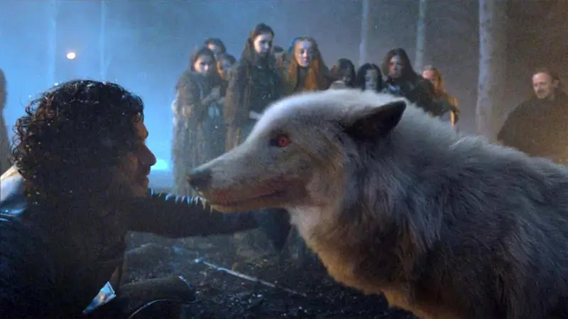 Direwolf Ghost - Game of Thrones Season 8