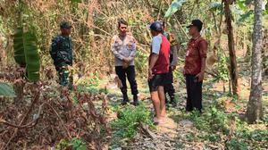 Tangisan dari Pekarangan Bikin Warga Terkejut, Ternyata Bayi Dibuang