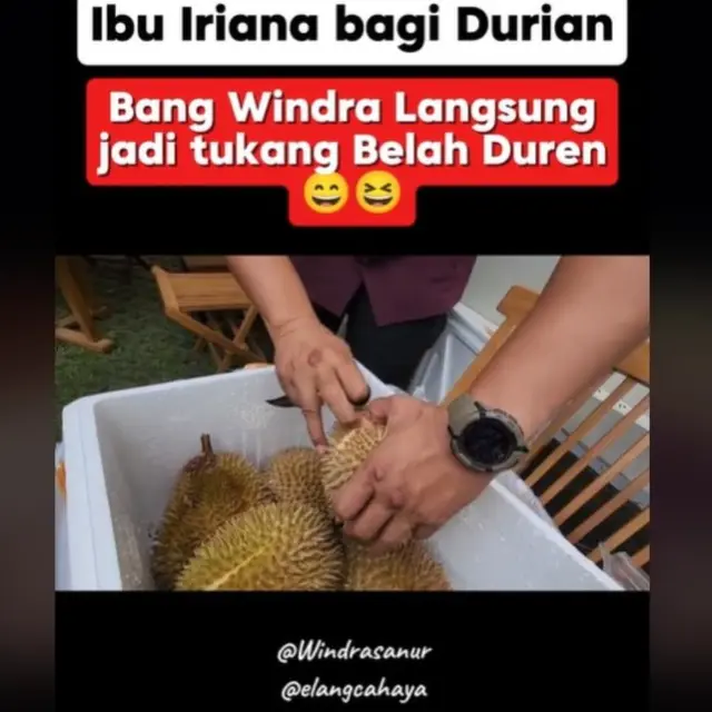 Rumahnya Jadi Tempat Wisata Dadakan, Iriana Jokowi Suguhkan Makanan dan Durian. foto: TikTok @elang_cahaya