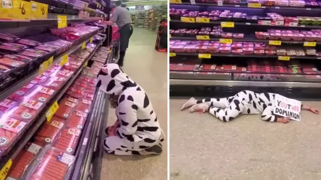 Stef Rose berkostum sapi tiduran di supermarket