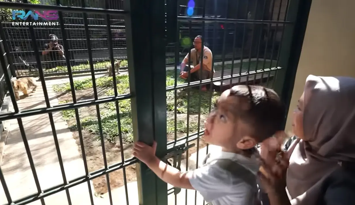 Momen tersebut terlihat di video kanal Youtube Rans Entertainment. Turun dari mobil dan melihat dua anak harimau di rumah Alshad Ahmad, Cipung langsung mau masuk. Momen saat Cipung mau buka pintu. [Youtube/Rans Entertainment]