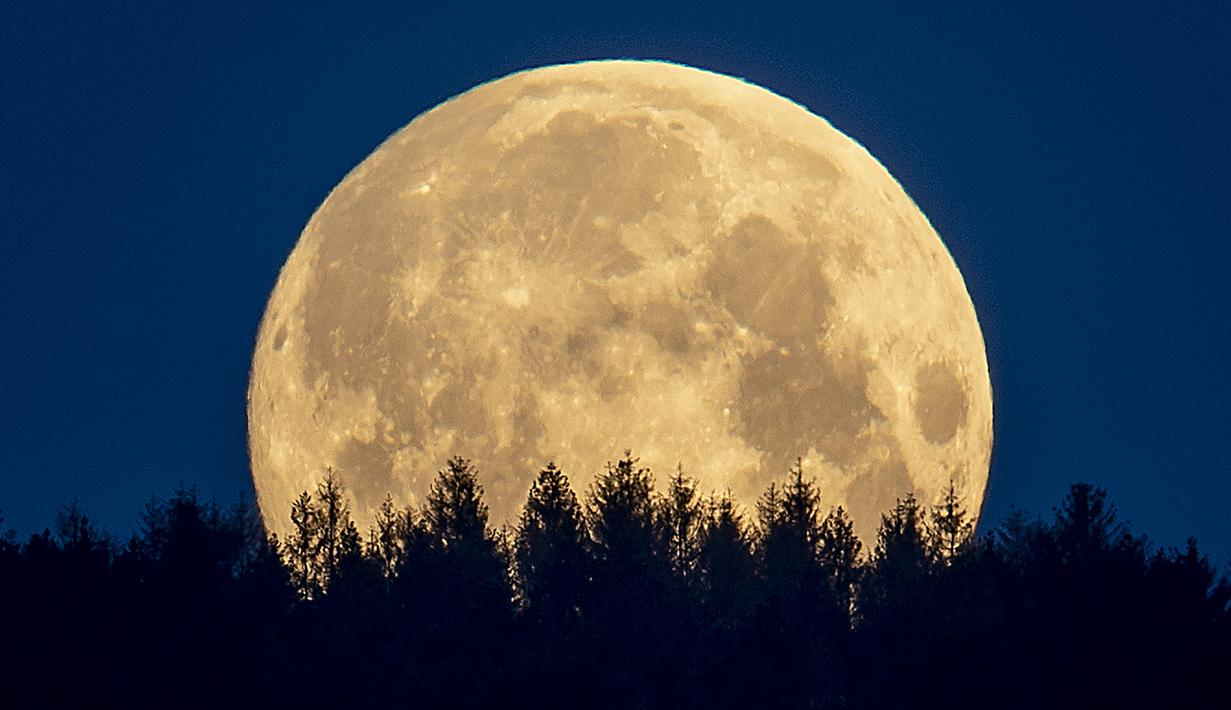 FOTO: Keindahan Supermoon Terakhir di Tahun 2020 - Global ...
