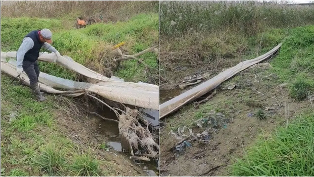 Viral Mirip Sisik Ular Raksasa Ditemukan Pemancing di Thailand, Bikin Ternganga