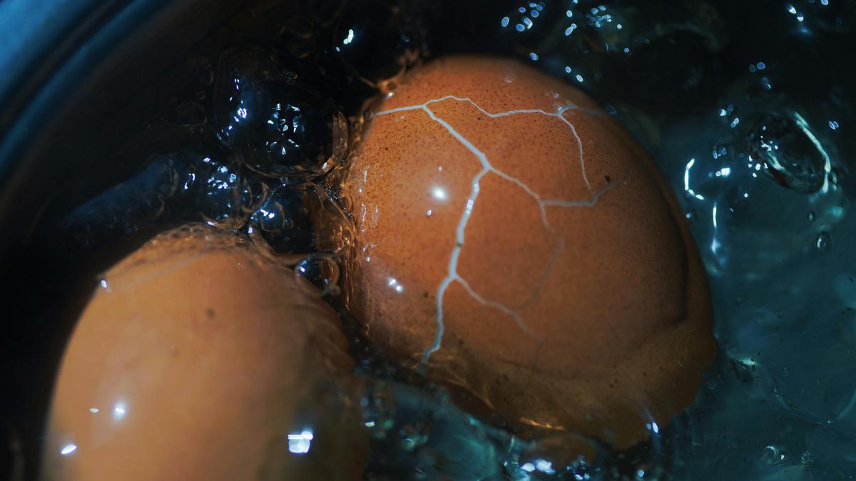 Rebus Telur Pakai Magic Com Berapa Menit, Ini Durasi Ideal dan Tipsnya agar Matang Sempurna