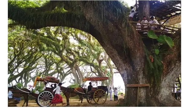 Hutan De Djawatan