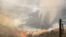 Api membakar rumput, sikat dan kayu. Evakuasi Level 1 dan level 3 telah dikeluarkan di area tersebut. (David Ryder/Getty Images/AFP)