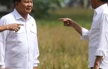 Hasil Survei Populi Centre: 72,2% Responden Bakal Pilih Capres Teruskan Program Jokowi