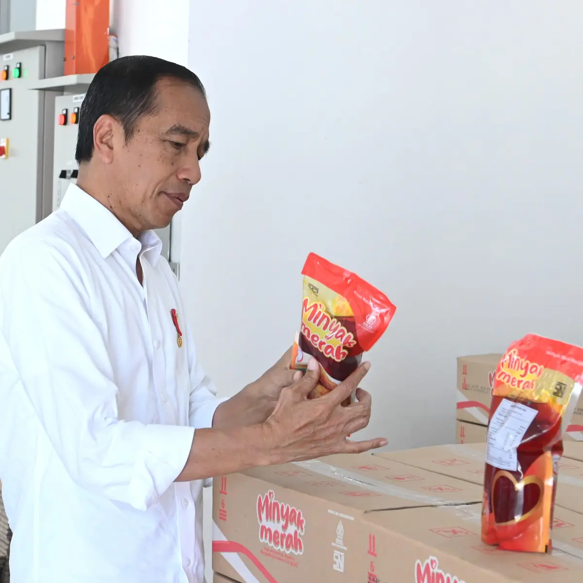 Resmikan Pabrik Minyak Makan Merah, Jokowi: Harganya Lebih Murah dari Minyak Goreng - News Liputan6.com