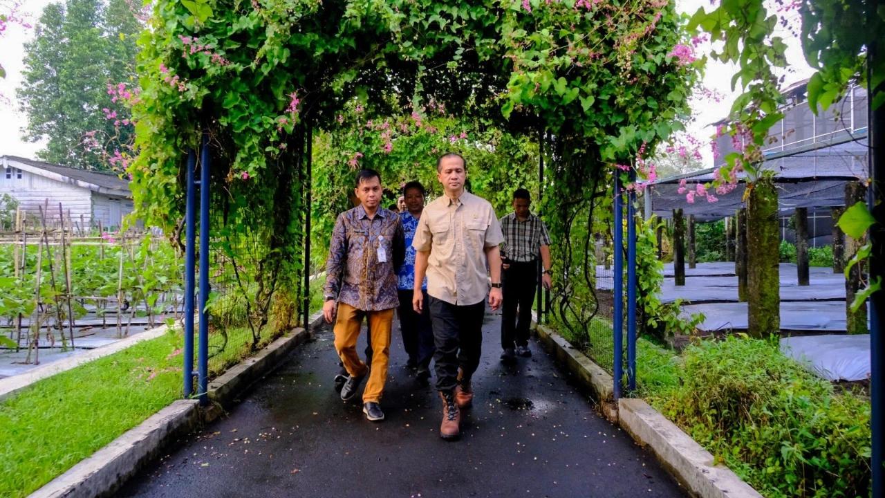 Kunjungi BBPPMT Yogyakarta, Mentrans Iftitah Tinjau Program Peningkatan Kapasitas Transmigran Penggerak