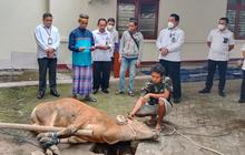 Jelang Idul Adha, Simak Aturan Pembagian Daging Kurban Sesuai Ajaran Islam yang Bermakna dan Penuh Berkah