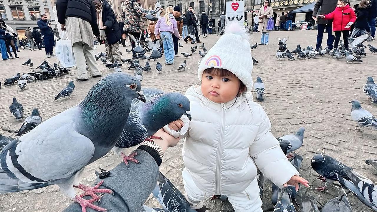 Potret Dek Cunda Liburan Bareng Denny Caknan dan Bella Bonita, Asyik Bermain dengan Puluhan Burung Merpati