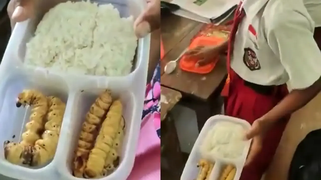 Bocah SD Bawa Bekal Ulat Sagu Goreng