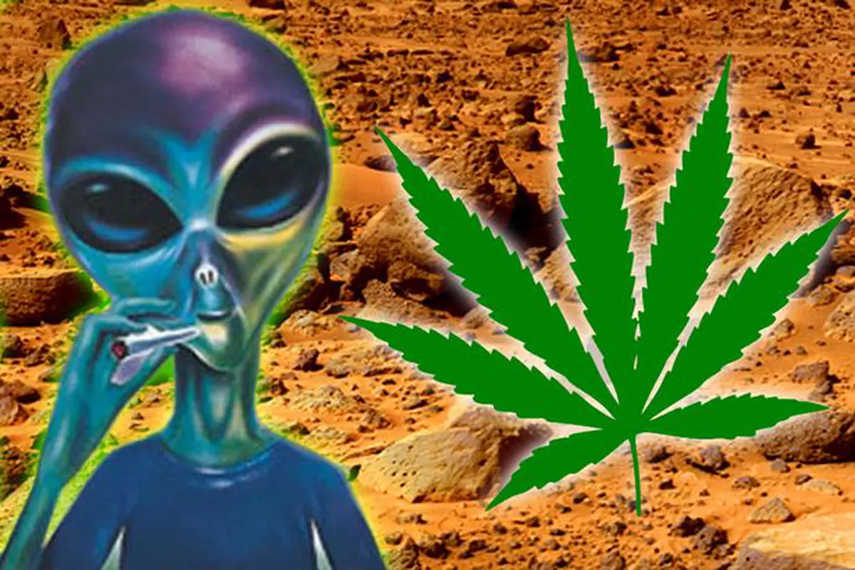 Ganja Bisa Tumbuh Subur di Planet Mars?