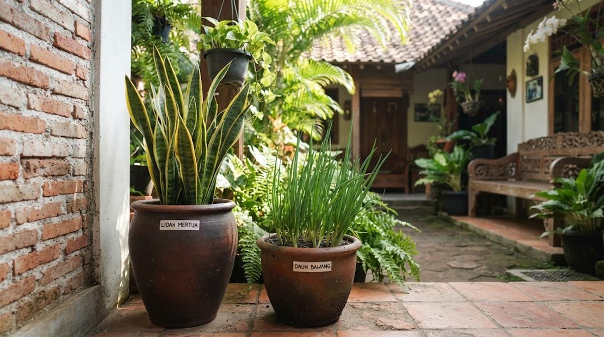 Kombinasi Tanaman Hias dan Tanaman Pangan untuk Halaman Rumah