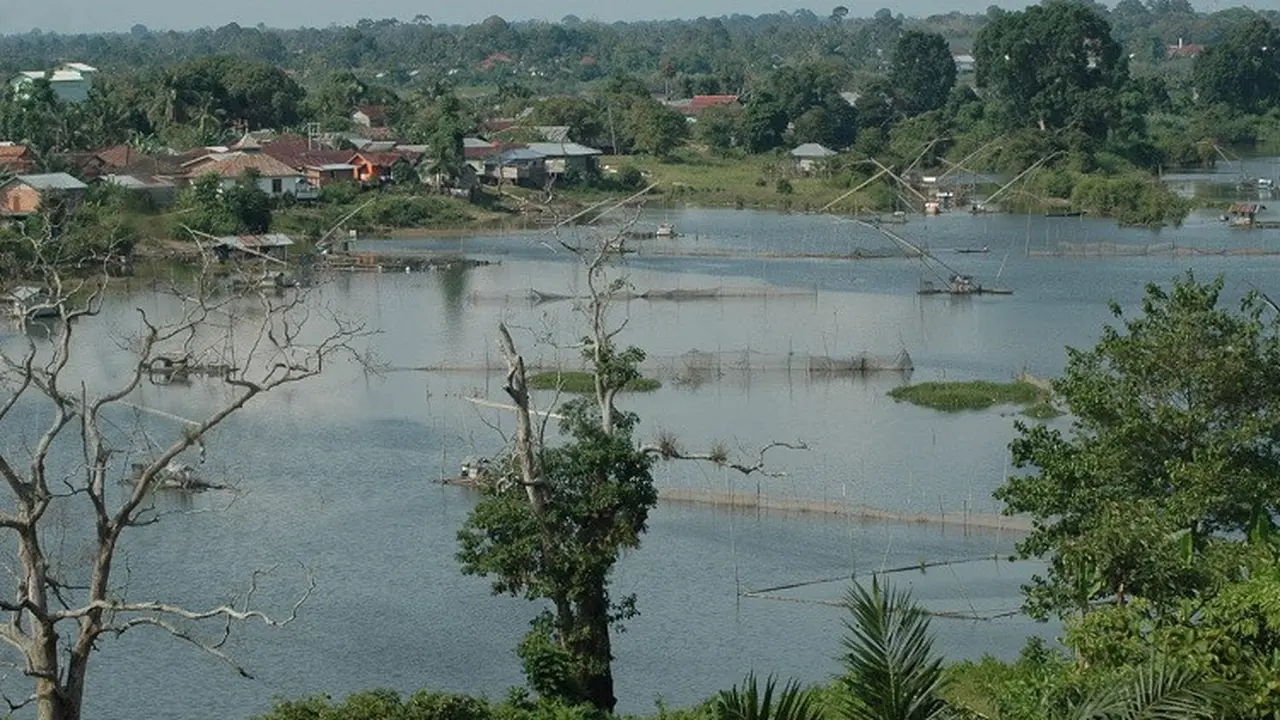 Misteri Jasad Bayi di Danau Sipin Jambi