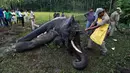 Petugas kehutanan India memotong gading dari seekor gajah liar yang telah mati di desa Panbari, India (2/11). Gajah liar tersebut mati karena keracunan makanan. (AFP Photo/Biju Boro)