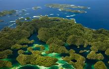 Potret Raja Ampat Rusak Akibat Penambangan Nikel, Deretan Artis Ini Sampai Meluapkan Kekecewaannya
