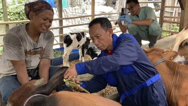 Demi mencegah penyakit Mulut dan Kuku (PMK) di Kota Tangerang, Dinas Ketahanan Pangan (DKP) setempat memasifkan pemeriksaan kesehatan hewan ternak.