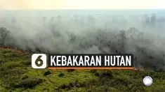 Petugas pemadam kebakaran berjuang melawan 393 titik api yang menerjang wilayah Pantanal, Brasil. Kebakaran yang terjadi sejak 26 Oktober ini telah menghanguskan 120 ribu hektar lahan.