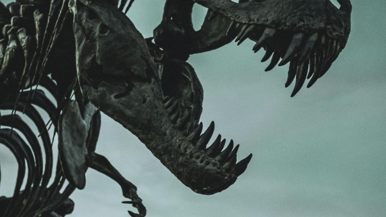 Penelitian Terkini Megalosaurus<br>