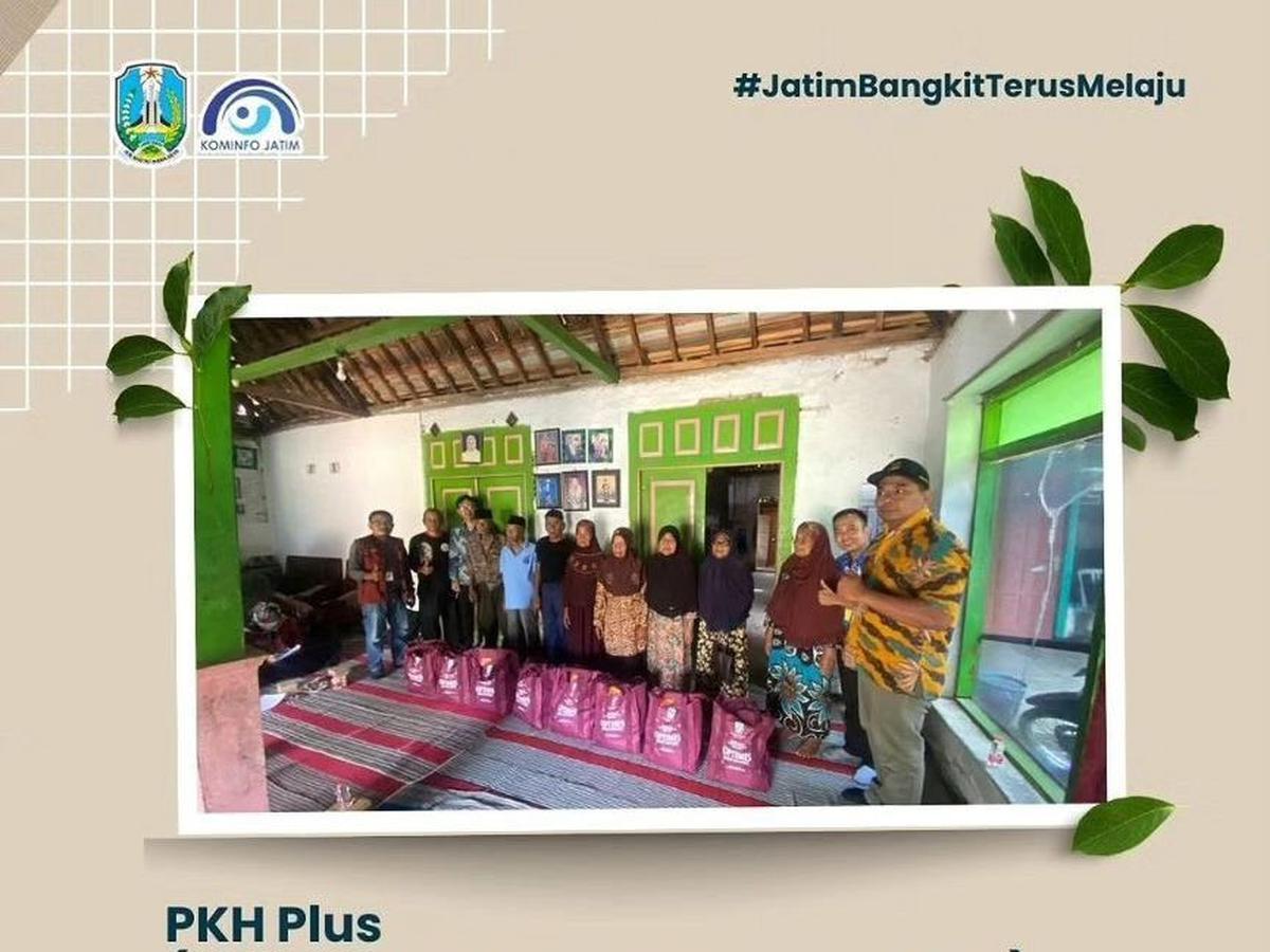 PKH Plus