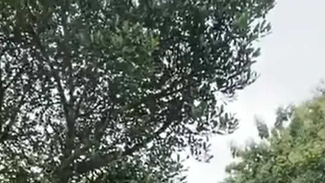Heboh Tetangga Sampai Kumpul, Komedian Nopek Novian Beli Mebil Mewah Sang Ibu Gemetaran dan Siapkan Air Kembang