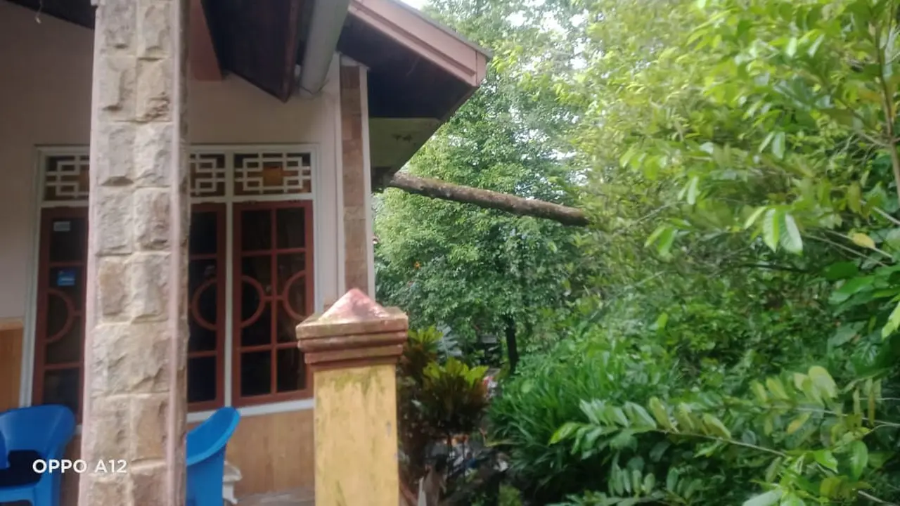 Pohon tumbang menimpa sebuah rumah di Kabupaten Kepulauan Sitaro, Sulut.