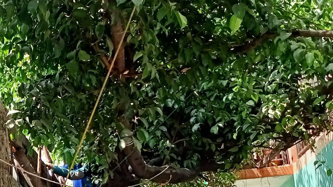 Kesaksian Warga Duren Sawit, Ada Tembok 10 Meter Bekas Pabrik Roboh Timpa Rumah & Motor