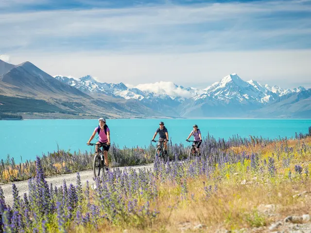 Musim Semi Jadi Waktu Terbaik Ke New Zealand Ini Alasannya Lifestyle Fimela Com