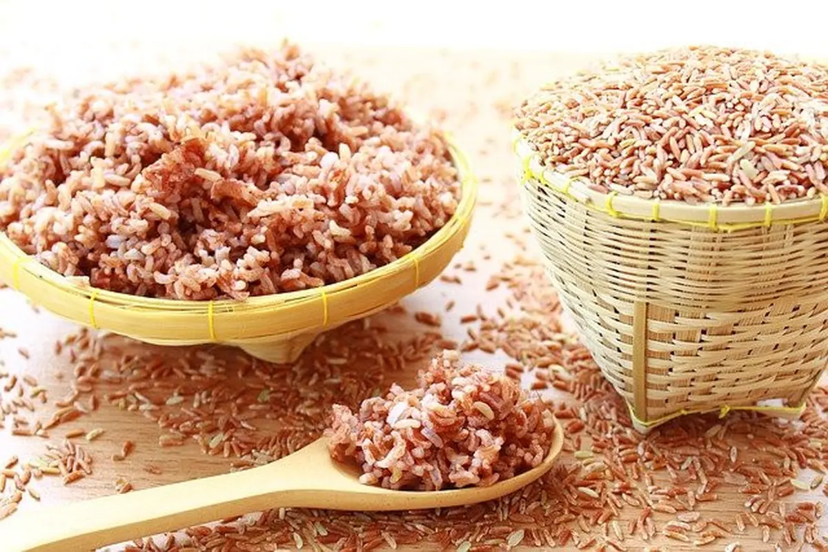 10 Makanan Lezat yang Efektif Menurunkan Kolesterol